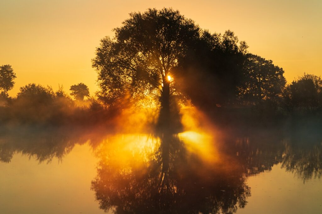 A Prayer for Dawn 