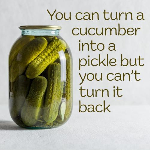 Cucumber into a pickle